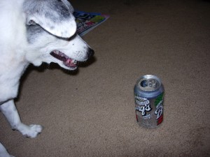 rootbeer1