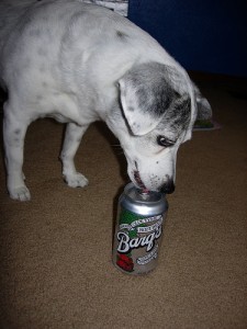 rootbeer2