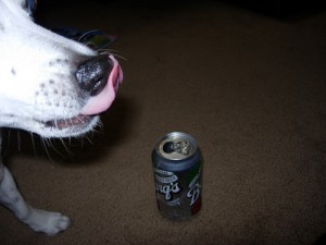 rootbeer3