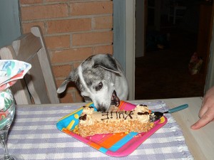 cake1