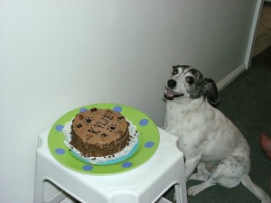 cake4