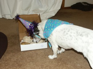 cake5