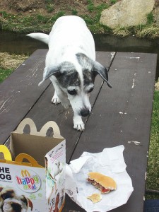 happymeal2