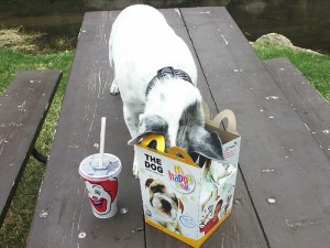 happymeal3