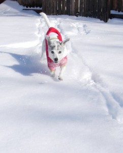 firstsnow2