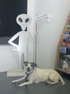 roswell2
