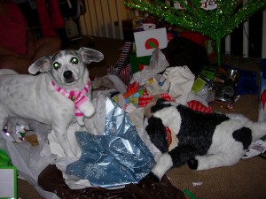 xmas2
