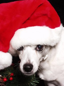xmas5