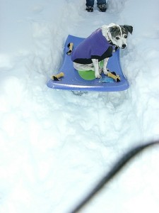 sled8