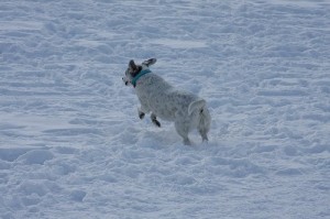 8_snow